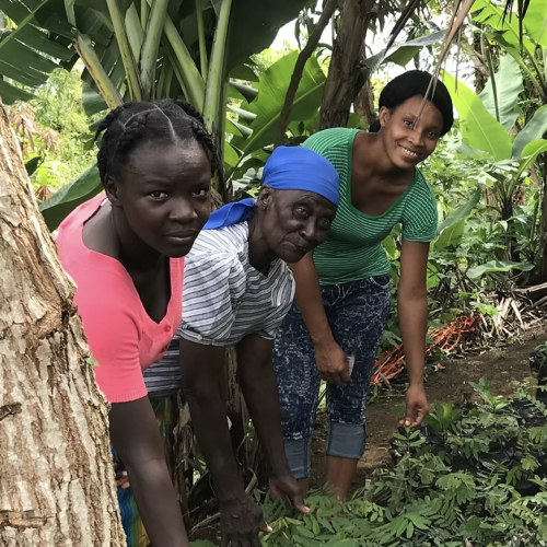 Screenshot 2024-12-02 at 1.59.06 PM